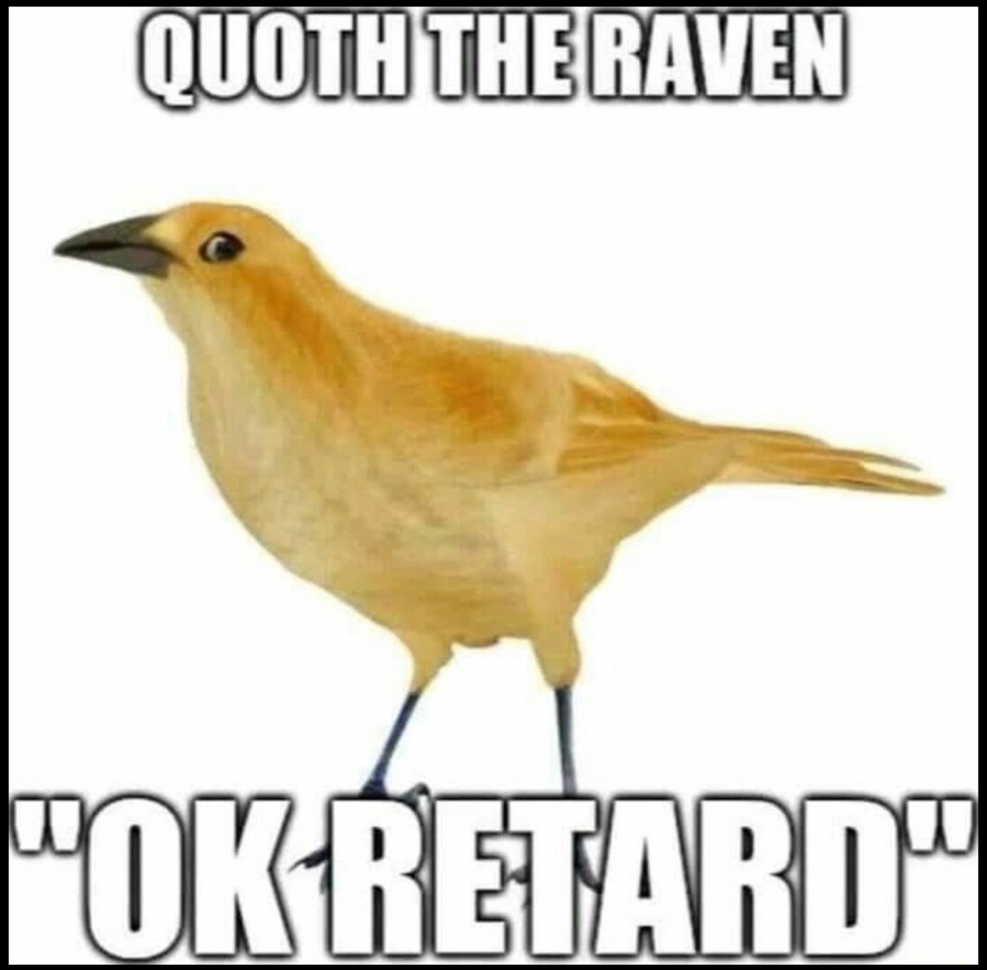 raven.jpg